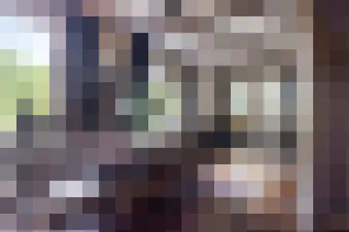 's-Gravenweg 356 Capelle aan den IJssel thumbnail 9
