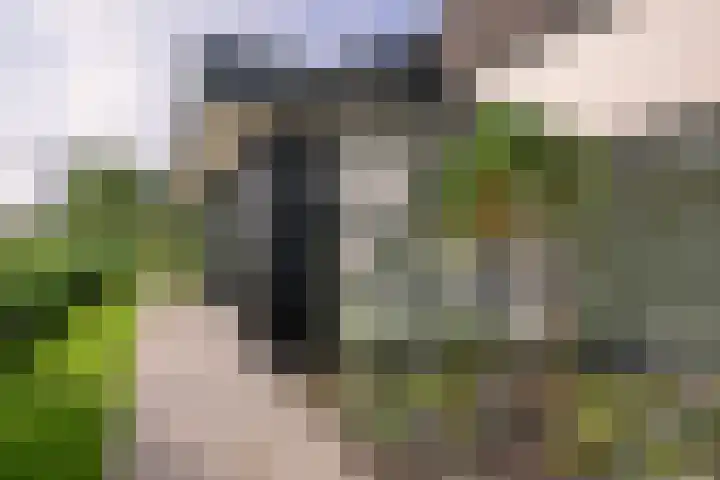 's-Gravenweg 374 Capelle aan den IJssel thumbnail 4