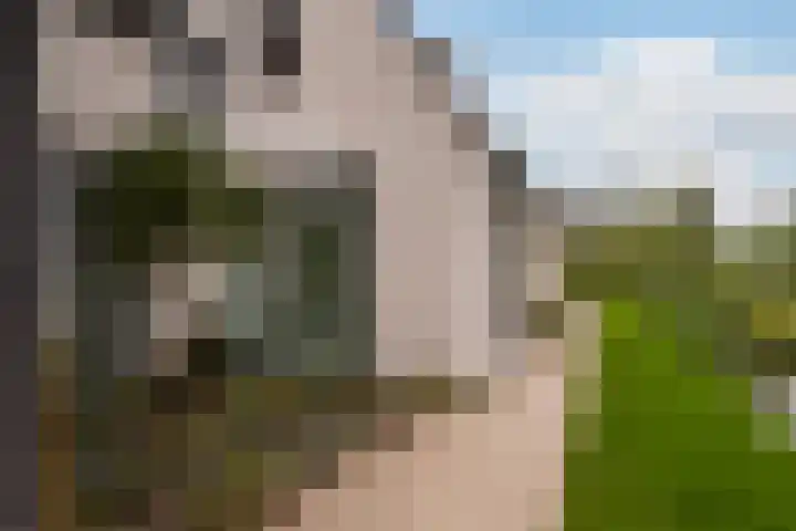 's-Gravenweg 374 Capelle aan den IJssel thumbnail 5
