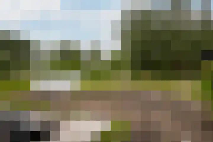 's-Gravenweg 374 Capelle aan den IJssel thumbnail 57