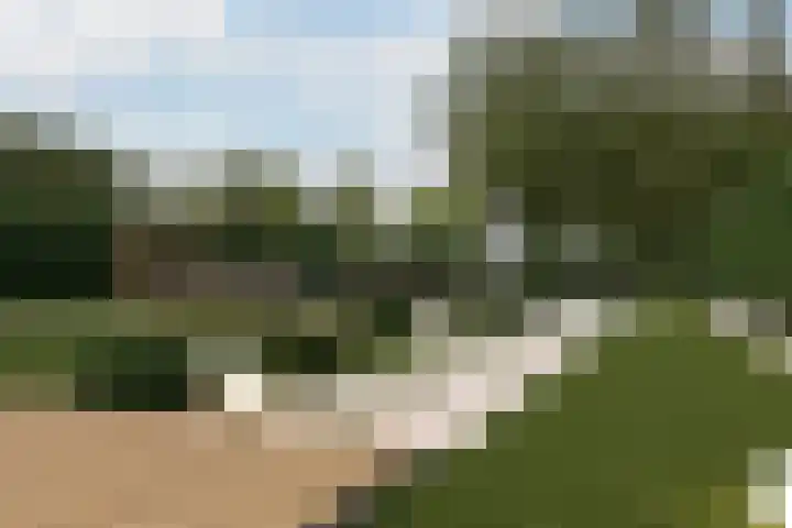 's-Gravenweg 374 Capelle aan den IJssel thumbnail 58