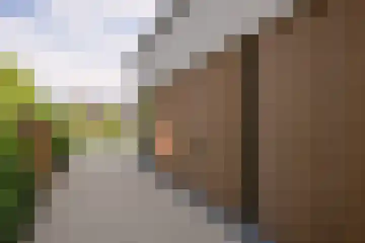 's-Gravenweg 374 Capelle aan den IJssel thumbnail 7
