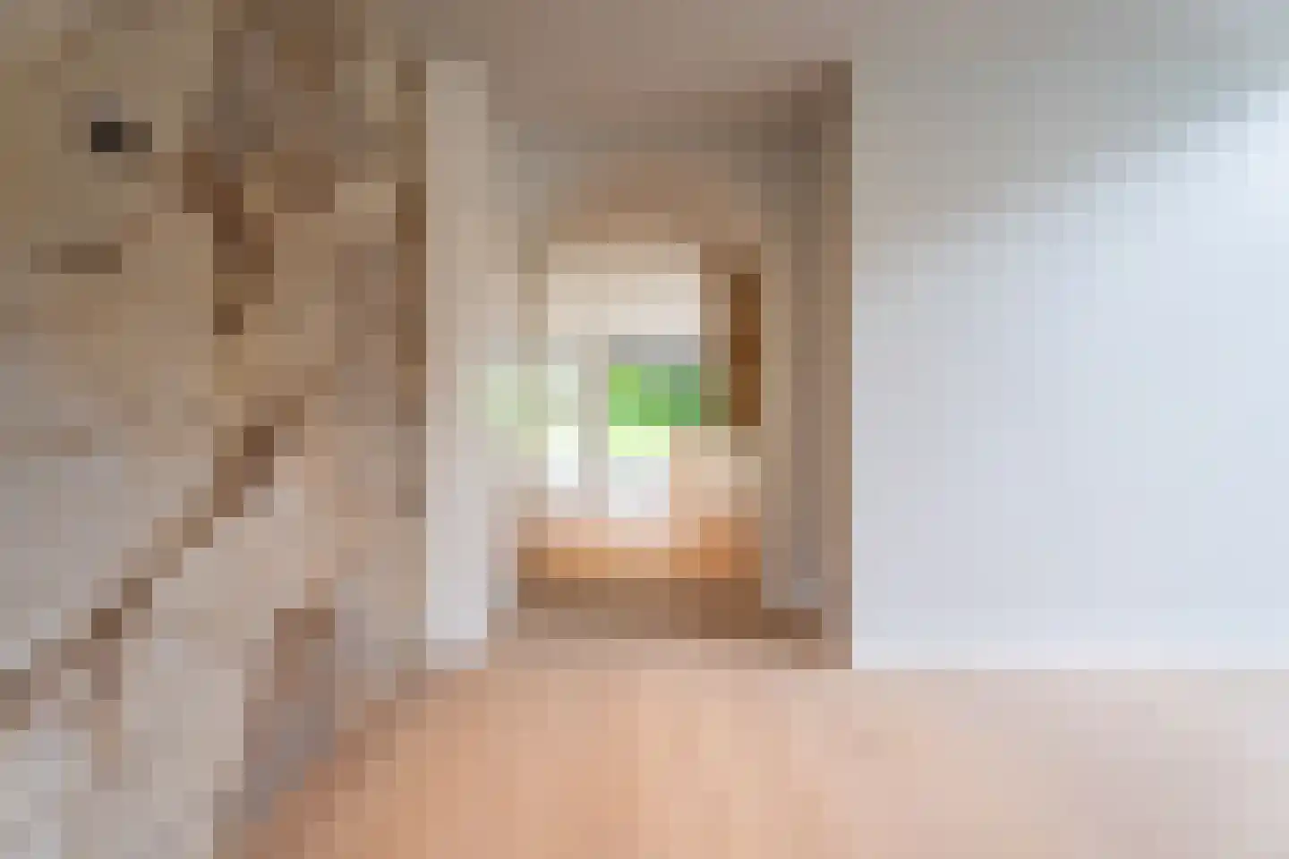 's-Gravenweg 376 Capelle aan den IJssel thumbnail 10
