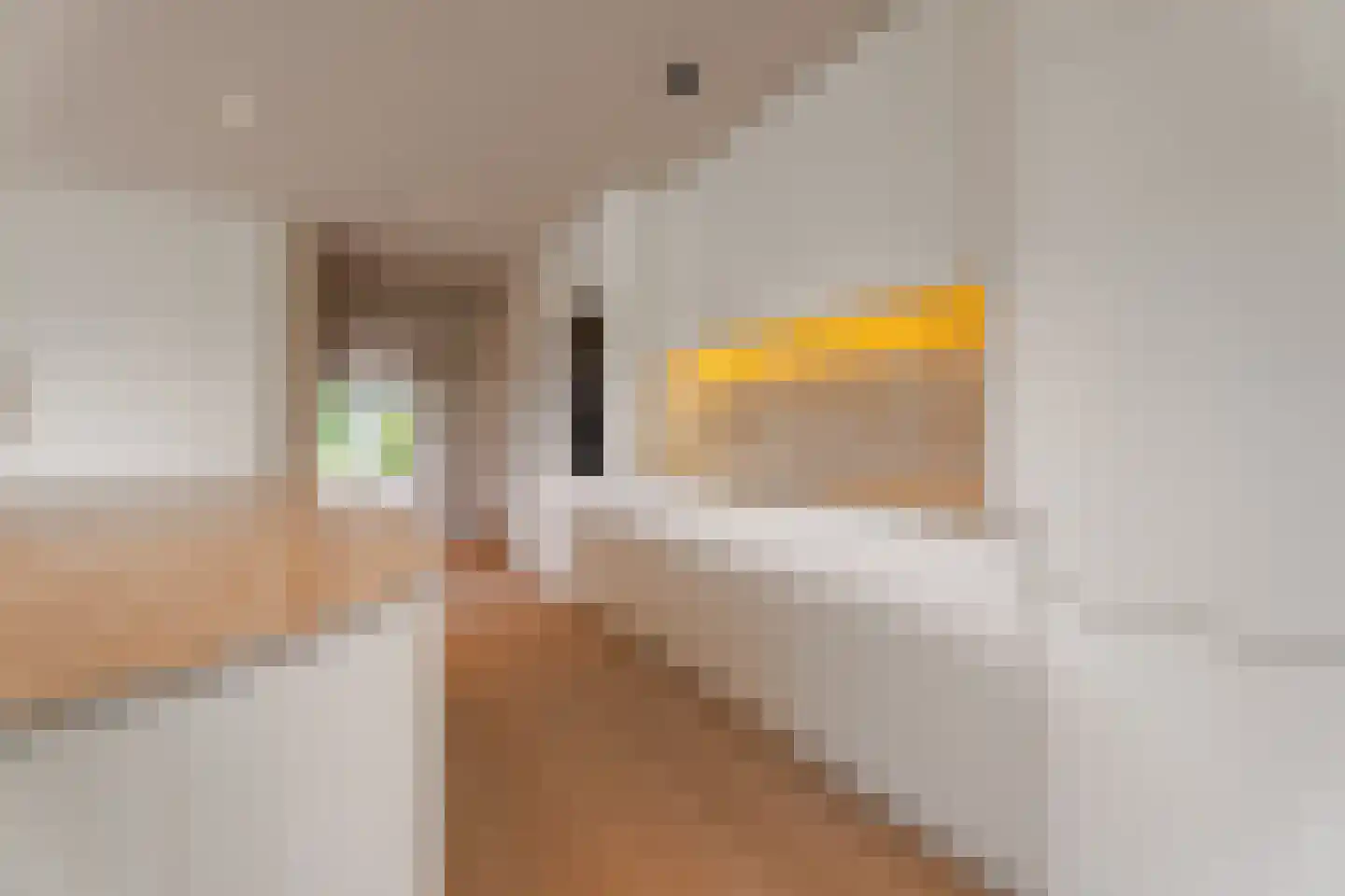 's-Gravenweg 376 Capelle aan den IJssel thumbnail 13