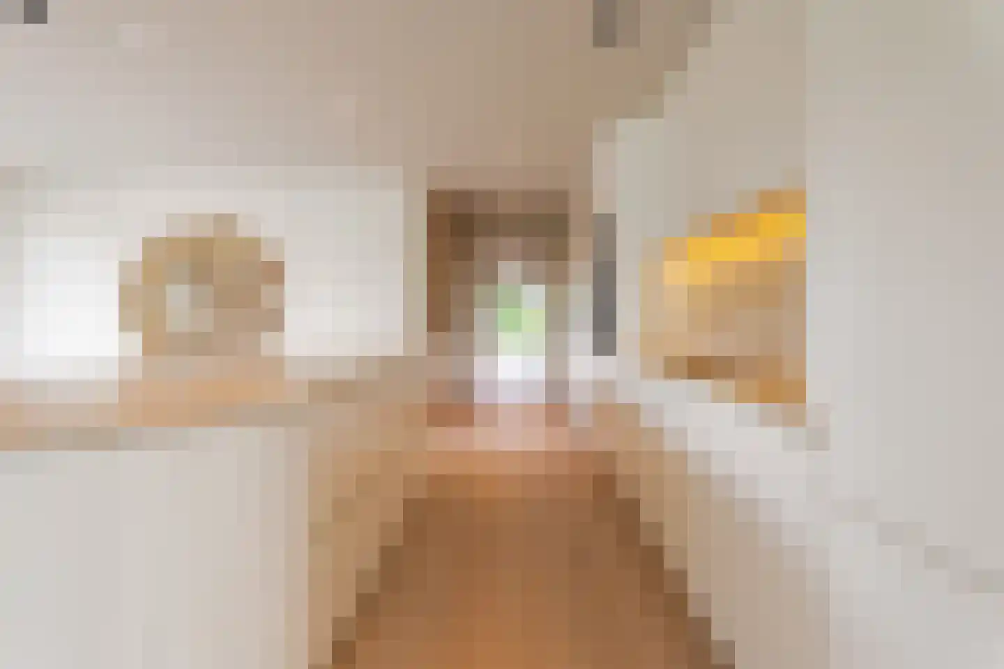 's-Gravenweg 376 Capelle aan den IJssel thumbnail 14