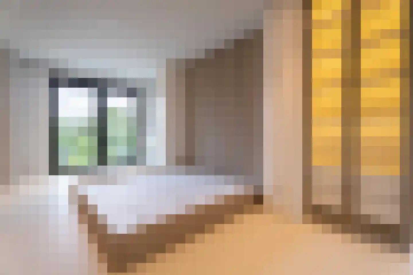 's-Gravenweg 376 Capelle aan den IJssel thumbnail 22
