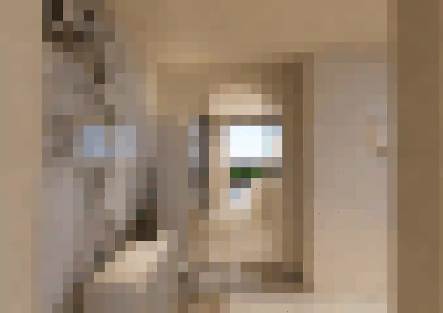 's-Gravenweg 376 Capelle aan den IJssel thumbnail 44
