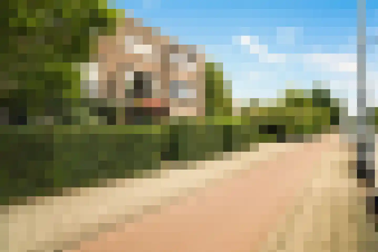 's-Gravenweg 38 A Rotterdam thumbnail 32