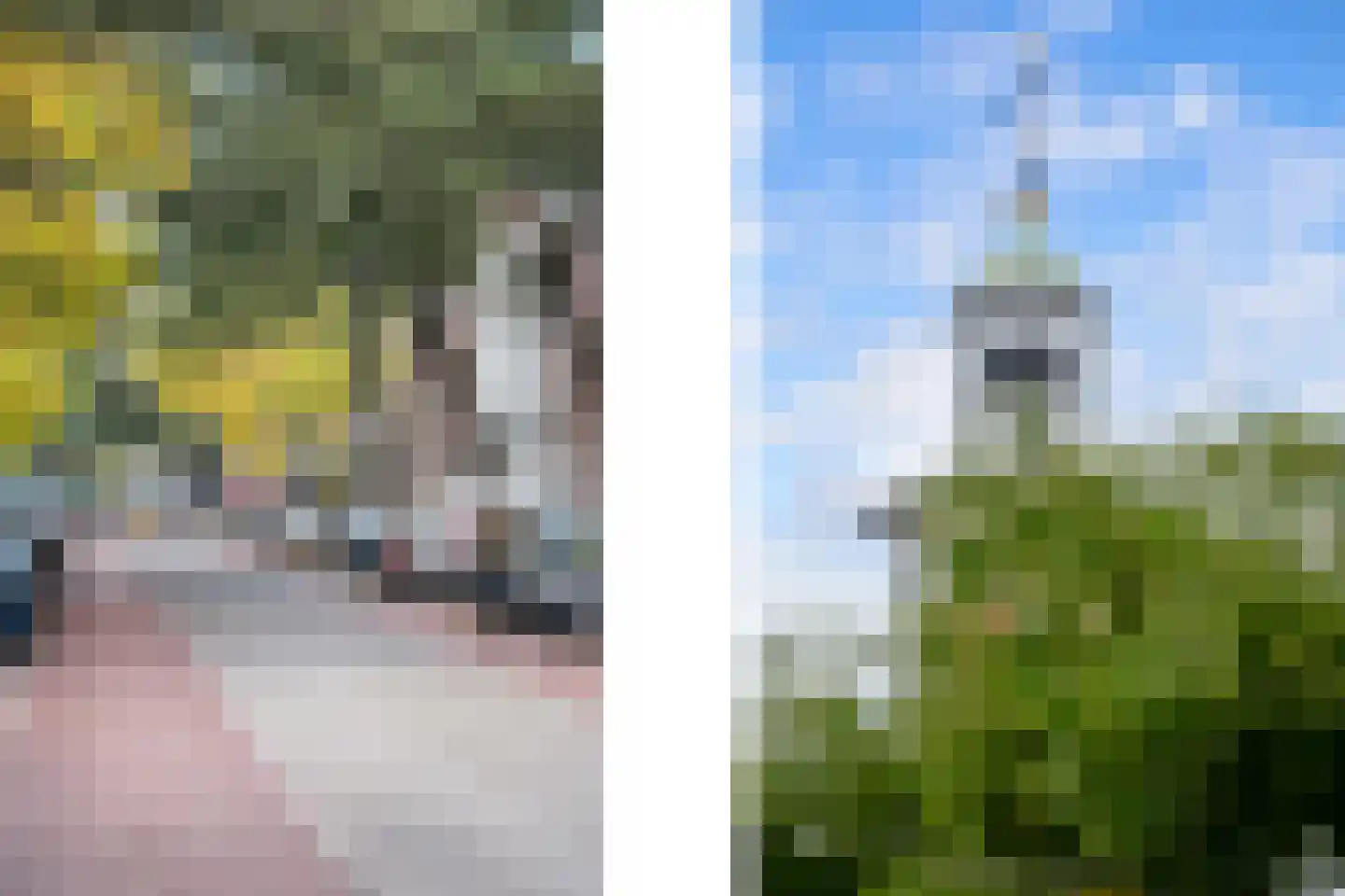 's-Gravenweg 38 C Rotterdam thumbnail 4