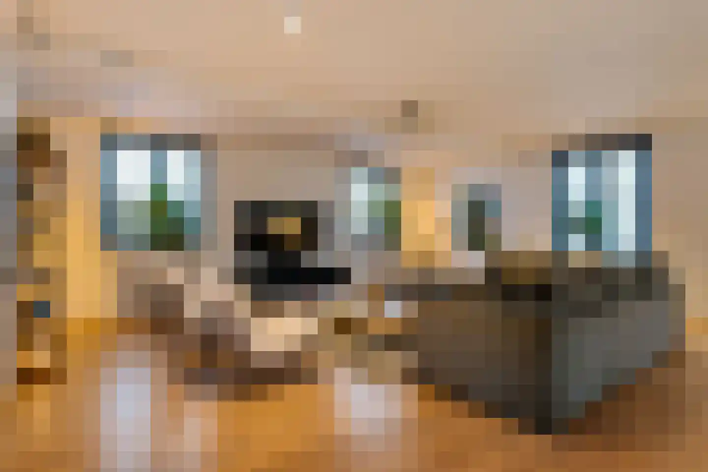 's-Gravenweg 415 C Rotterdam thumbnail 11