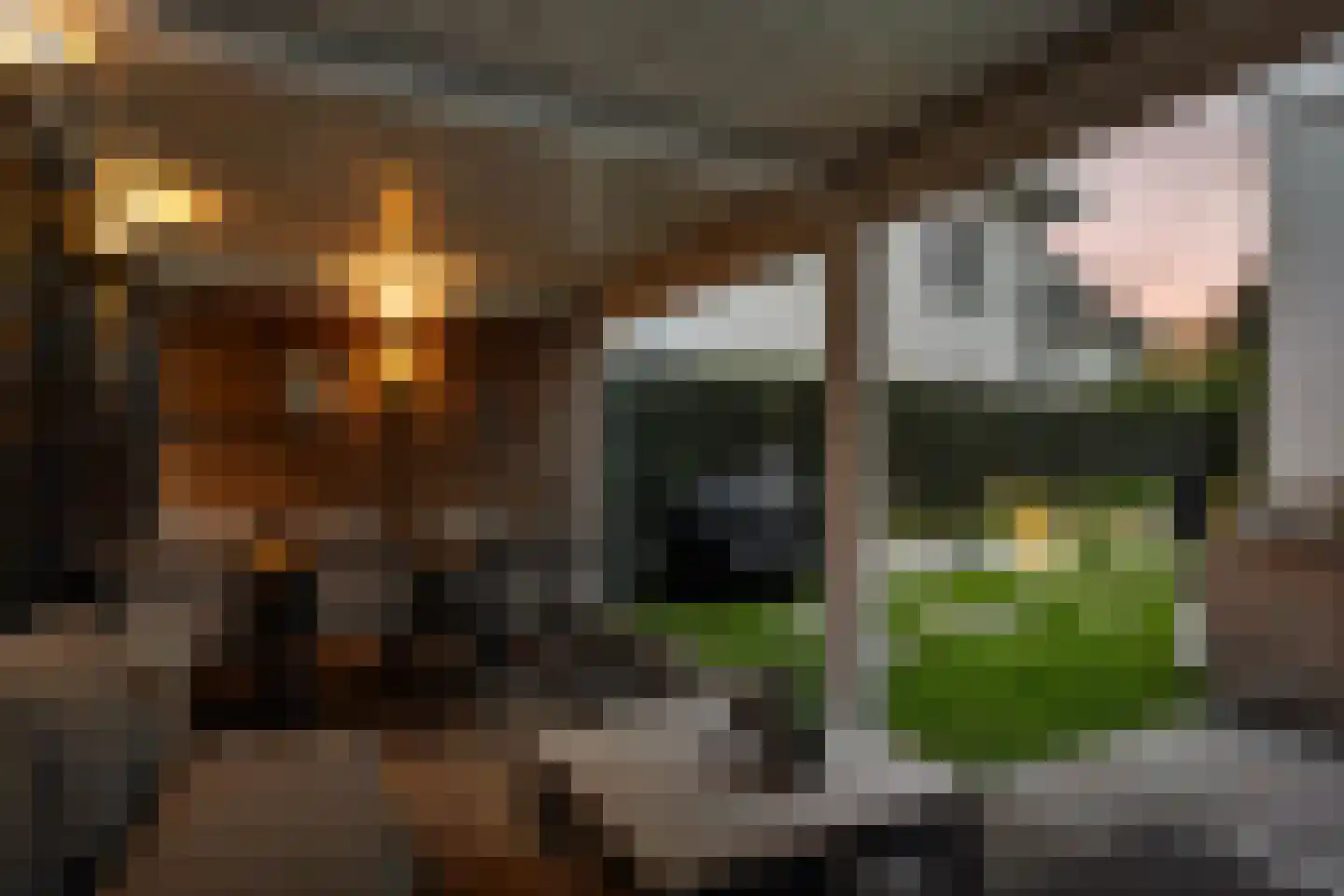 's-Gravenweg 415 C Rotterdam thumbnail 4