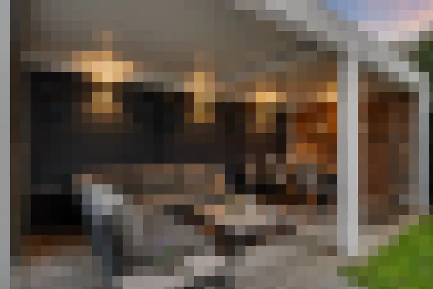 's-Gravenweg 415 C Rotterdam thumbnail 53