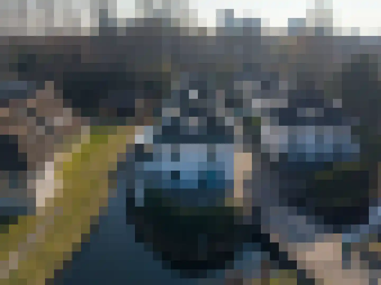 's-Gravenweg 415 C Rotterdam thumbnail 95