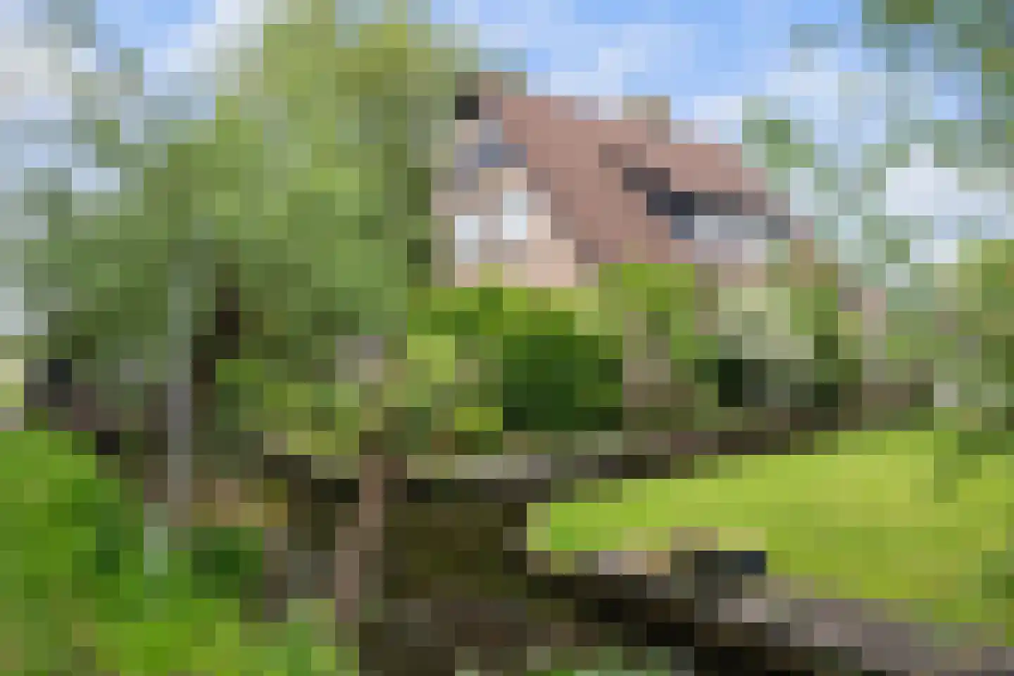 's-Gravenweg 45 Nieuwerkerk aan den IJssel thumbnail 31