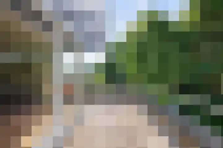 's-Gravenweg 459 Rotterdam thumbnail 31