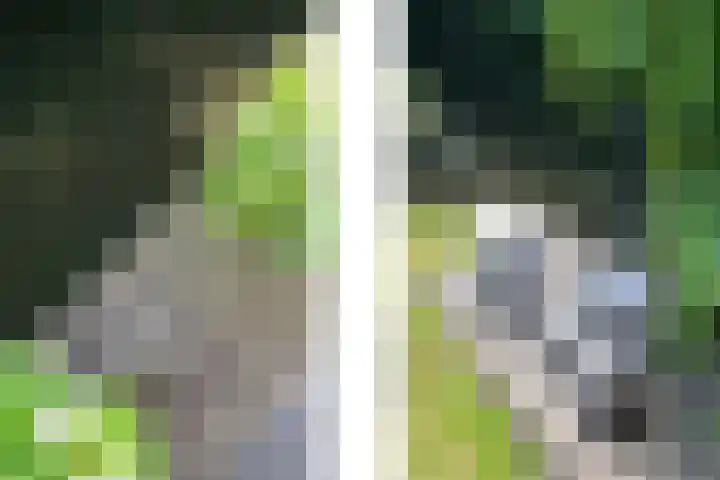 's-Gravenweg 459 Rotterdam thumbnail 32