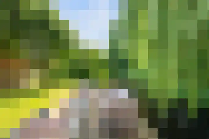 's-Gravenweg 459 Rotterdam thumbnail 33