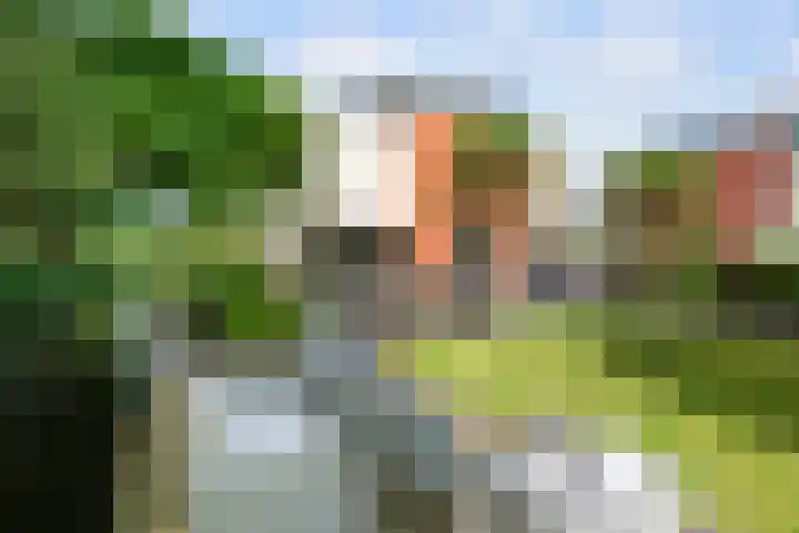 's-Gravenweg 459 Rotterdam thumbnail 34