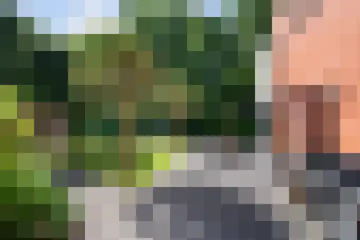 's-Gravenweg 459 Rotterdam thumbnail 35