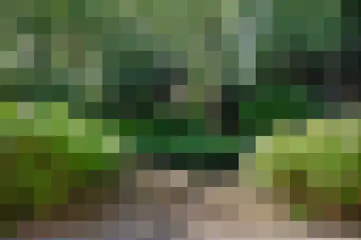's-Gravenweg 459 Rotterdam thumbnail 36