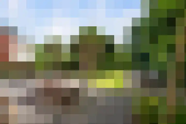 's-Gravenweg 459 Rotterdam thumbnail 37