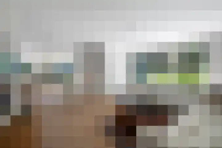 's-Gravenweg 459 Rotterdam thumbnail 4