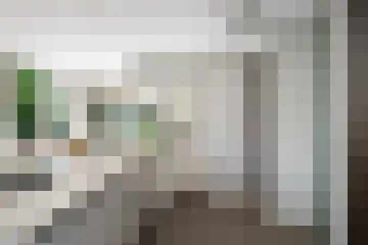 's-Gravenweg 459 Rotterdam thumbnail 5