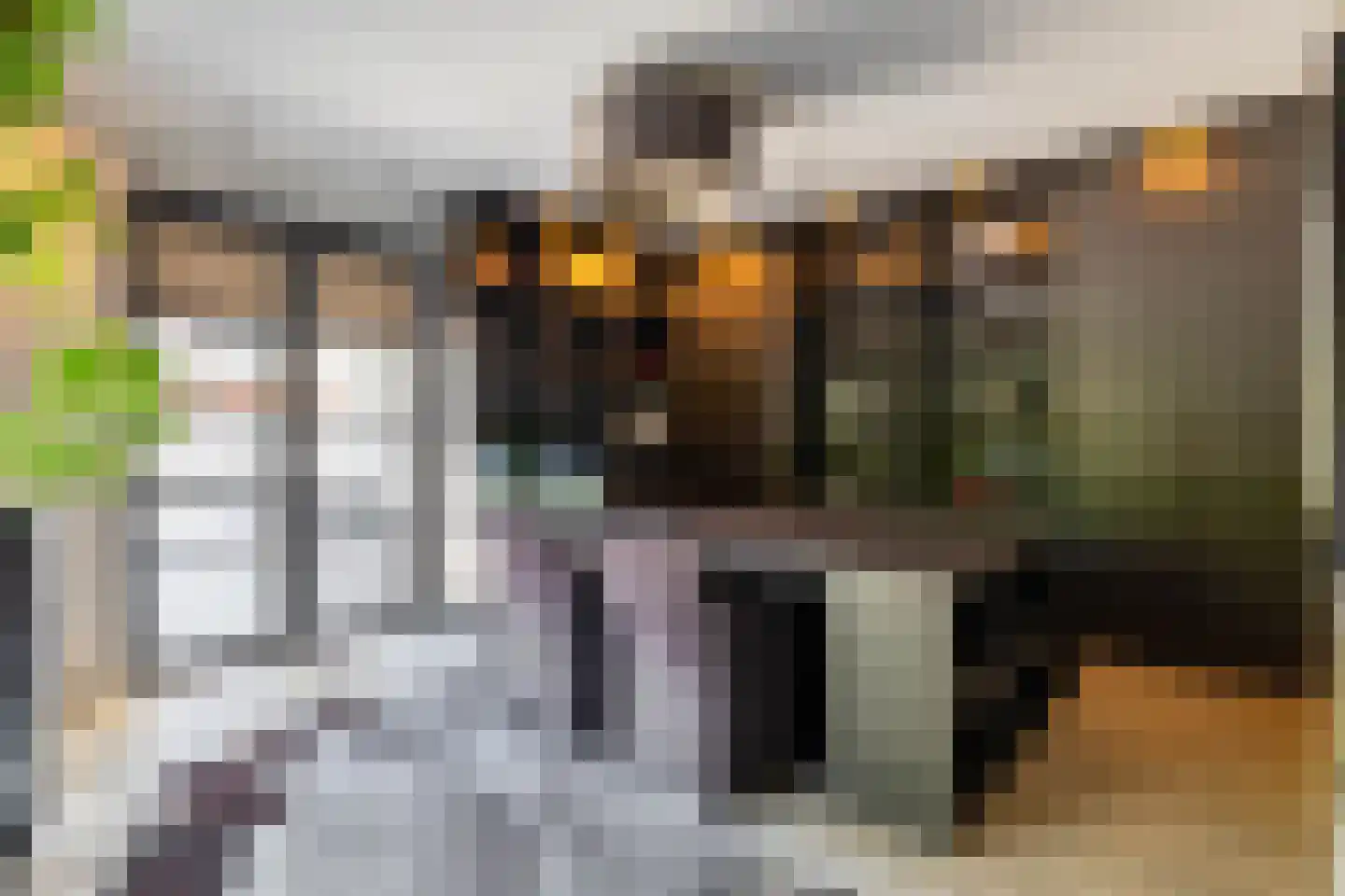 's-Gravenweg 46 c Nieuwerkerk aan den IJssel thumbnail 17