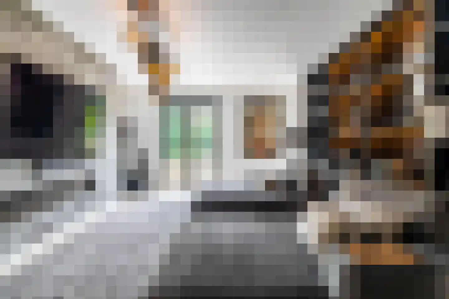 's-Gravenweg 46 c Nieuwerkerk aan den IJssel thumbnail 4