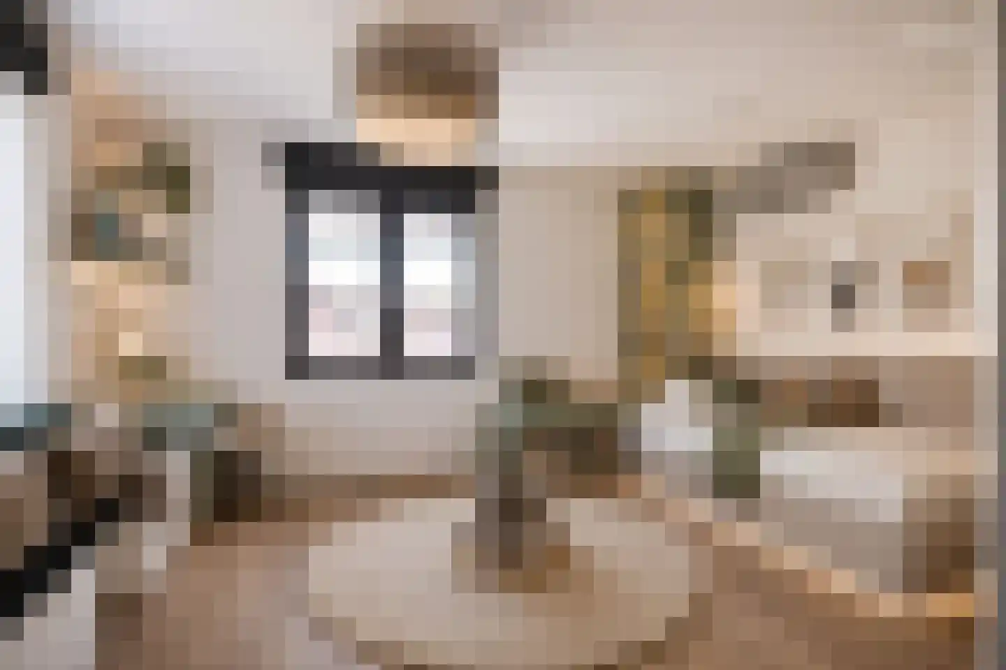 's-Gravenweg 46 c Nieuwerkerk aan den IJssel thumbnail 43