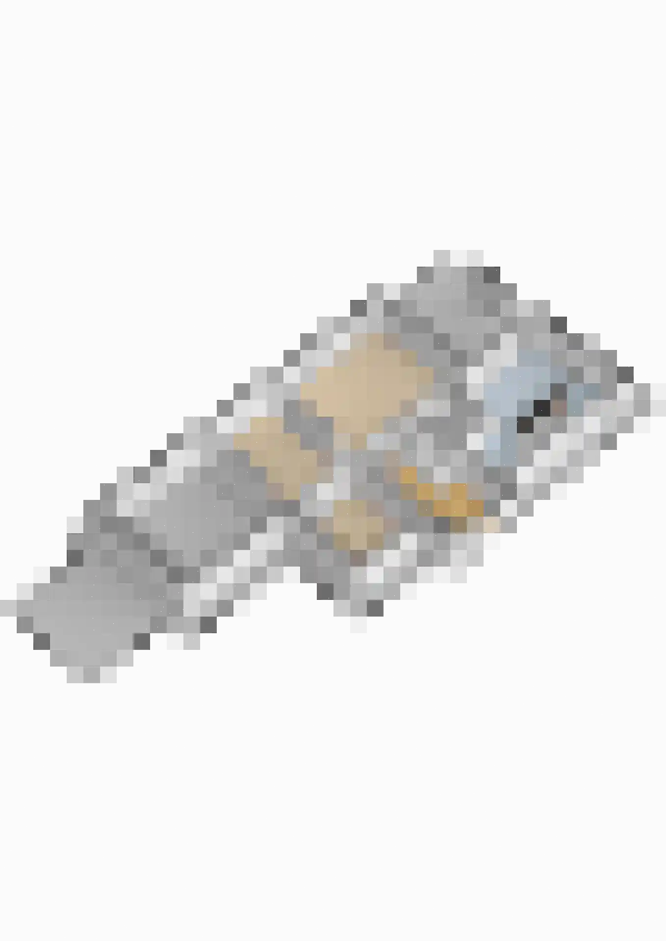 's-Gravenweg 46 c Nieuwerkerk aan den IJssel thumbnail 63