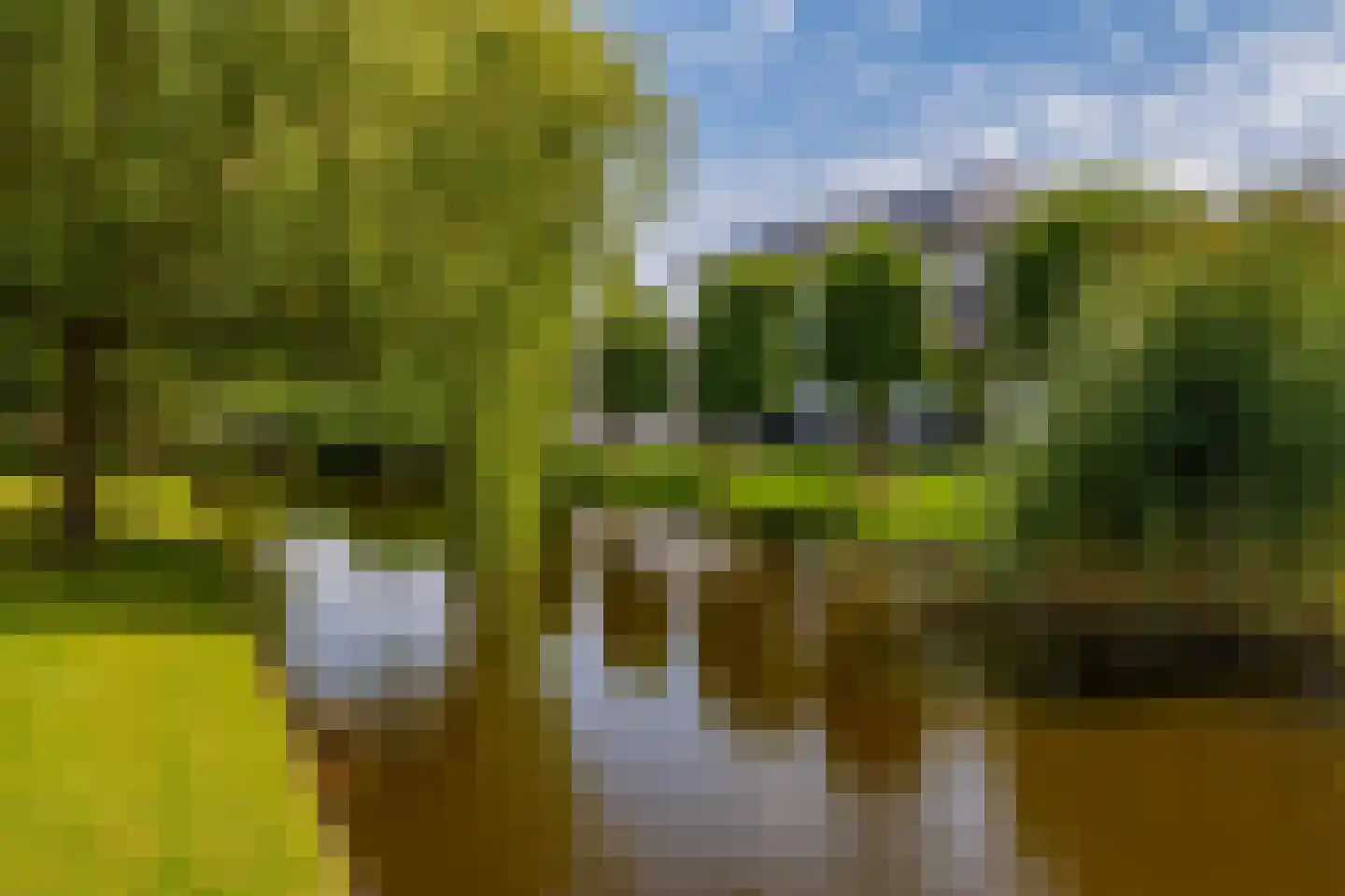 's-Gravenweg 46 c Nieuwerkerk aan den IJssel thumbnail 9