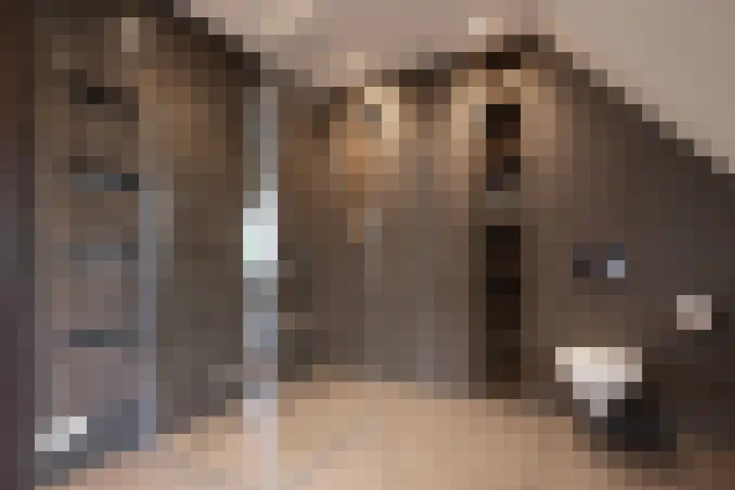 's-Gravenweg 46 d Nieuwerkerk aan den IJssel thumbnail 14
