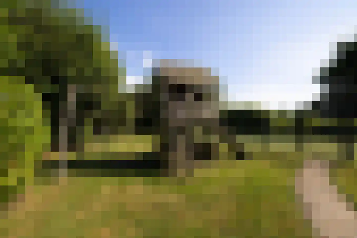 's-Gravenweg 46 d Nieuwerkerk aan den IJssel thumbnail 25