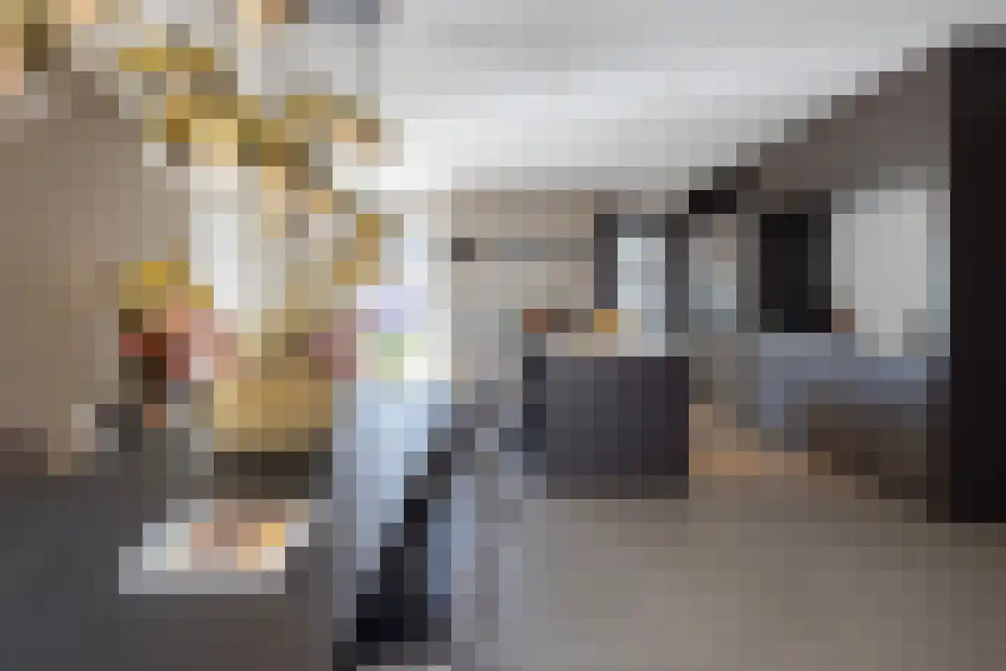 's-Gravenweg 46 d Nieuwerkerk aan den IJssel thumbnail 5