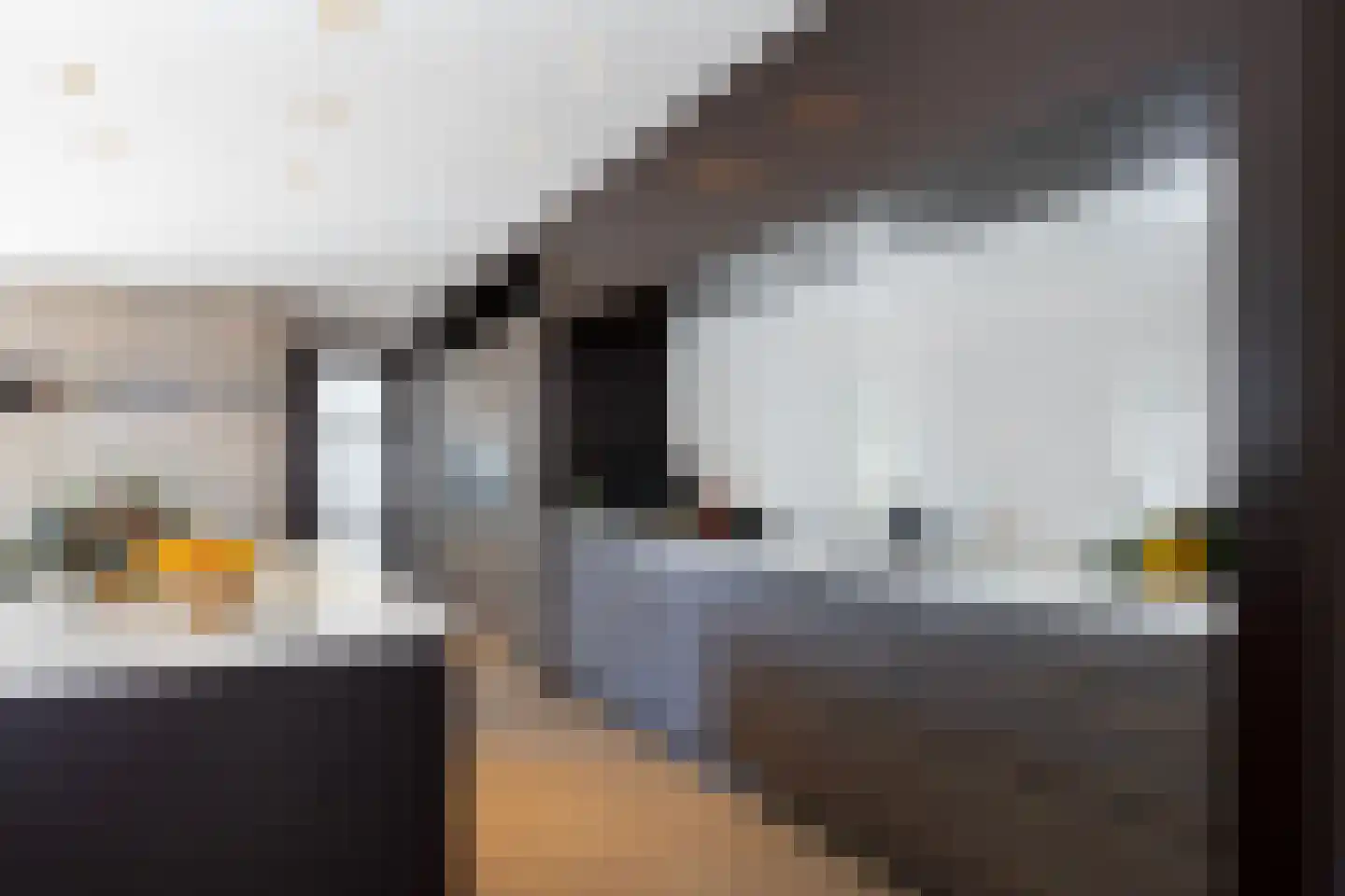's-Gravenweg 46 d Nieuwerkerk aan den IJssel thumbnail 8