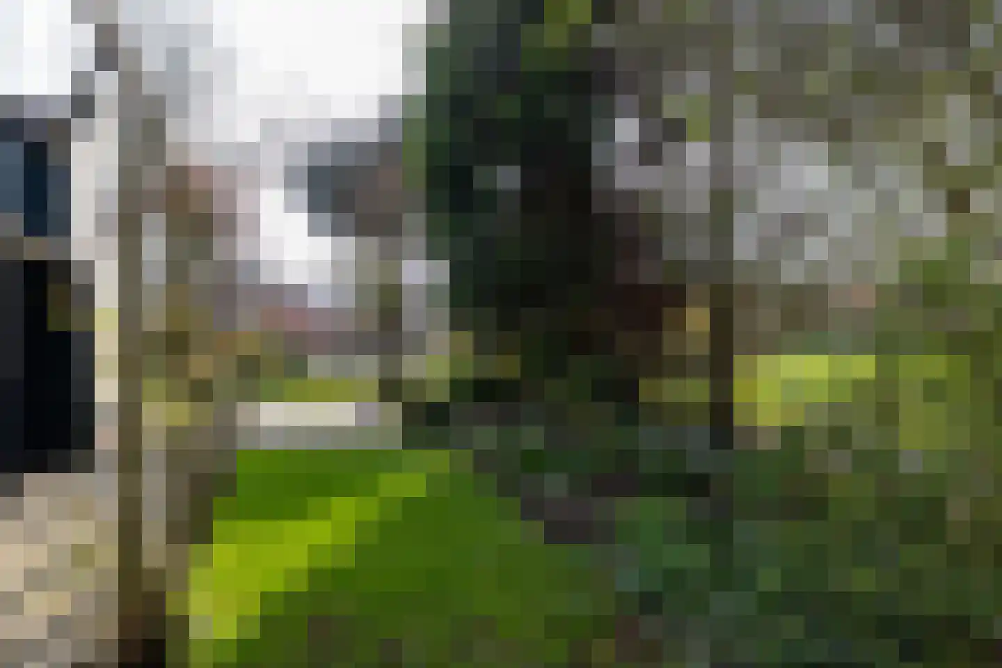 's-Gravenweg 524 Rotterdam thumbnail 11