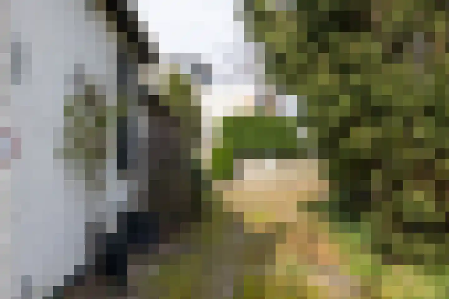 's-Gravenweg 524 Rotterdam thumbnail 14