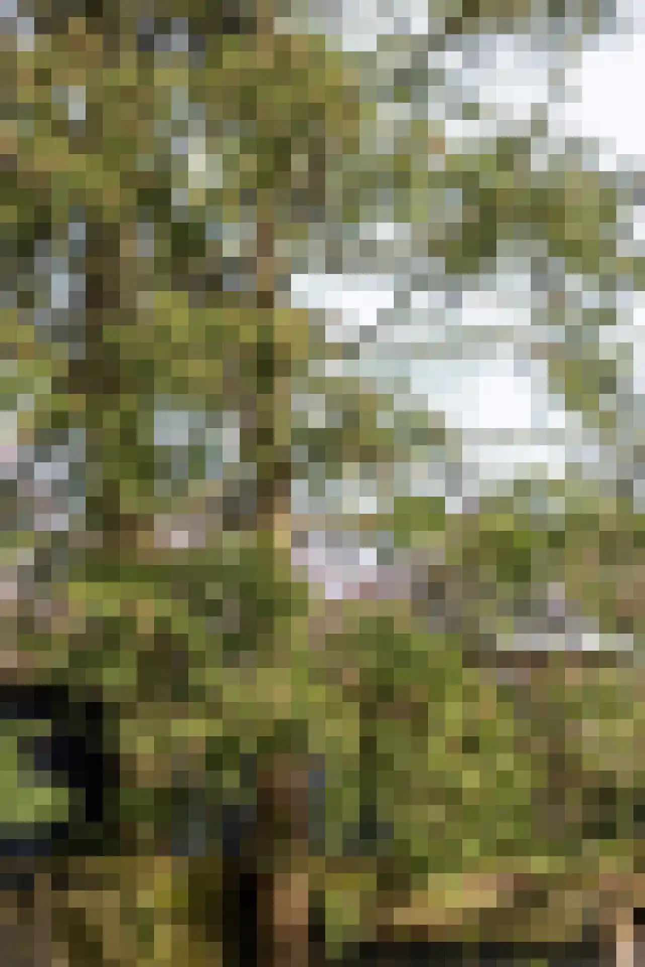 's-Gravenweg 524 Rotterdam thumbnail 17