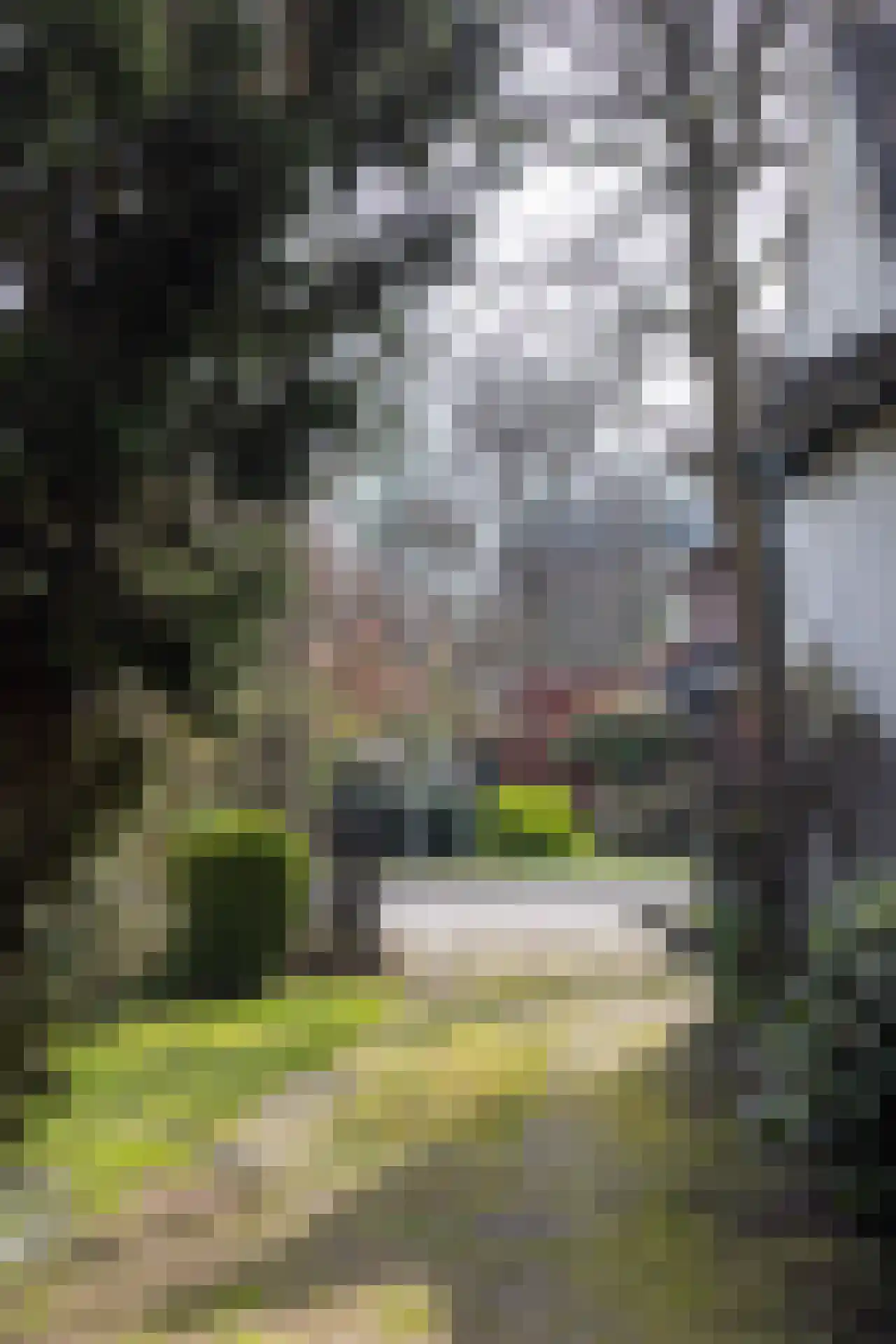 's-Gravenweg 524 Rotterdam thumbnail 18