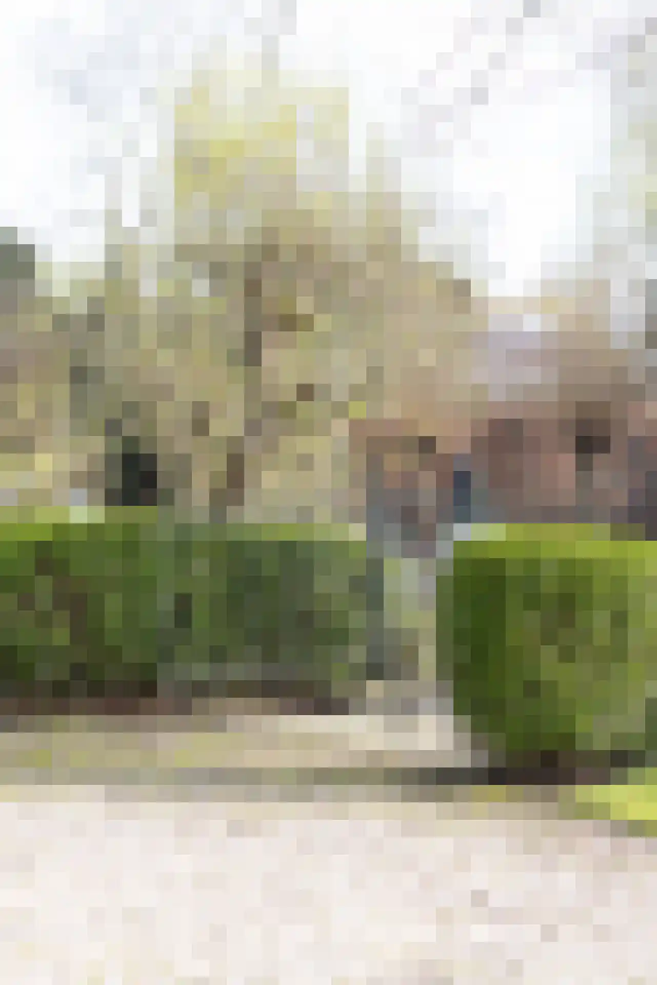 's-Gravenweg 524 Rotterdam thumbnail 21