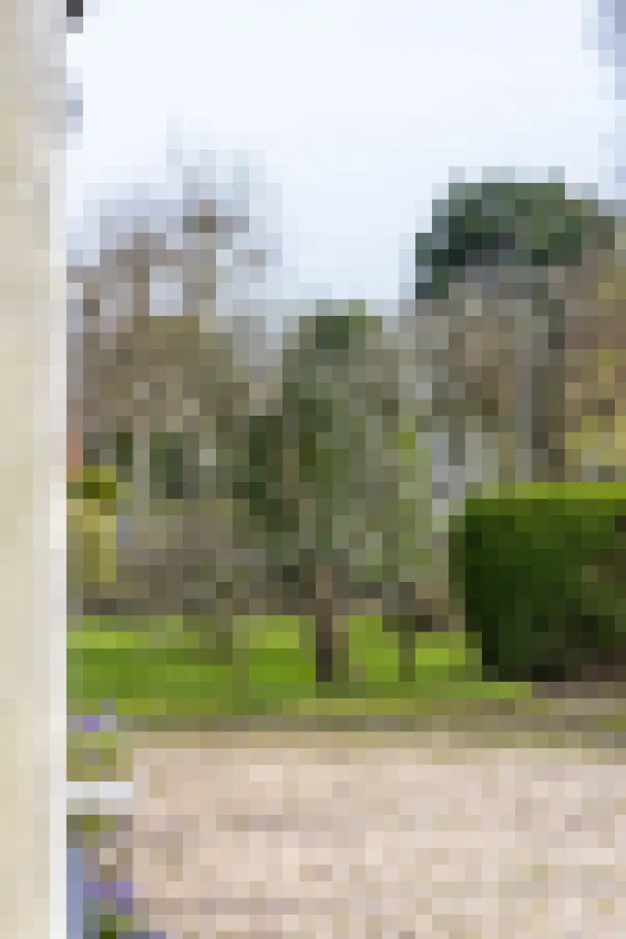 's-Gravenweg 524 Rotterdam thumbnail 22