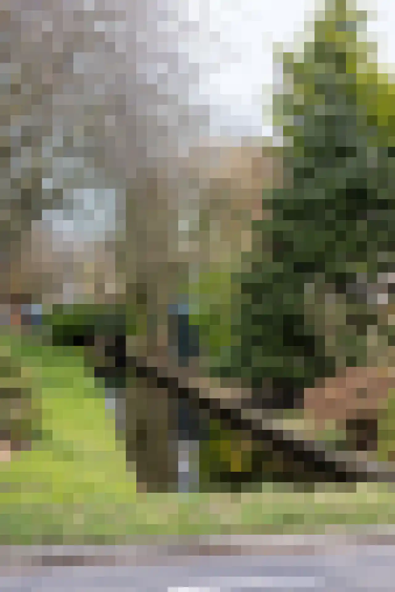 's-Gravenweg 524 Rotterdam thumbnail 24