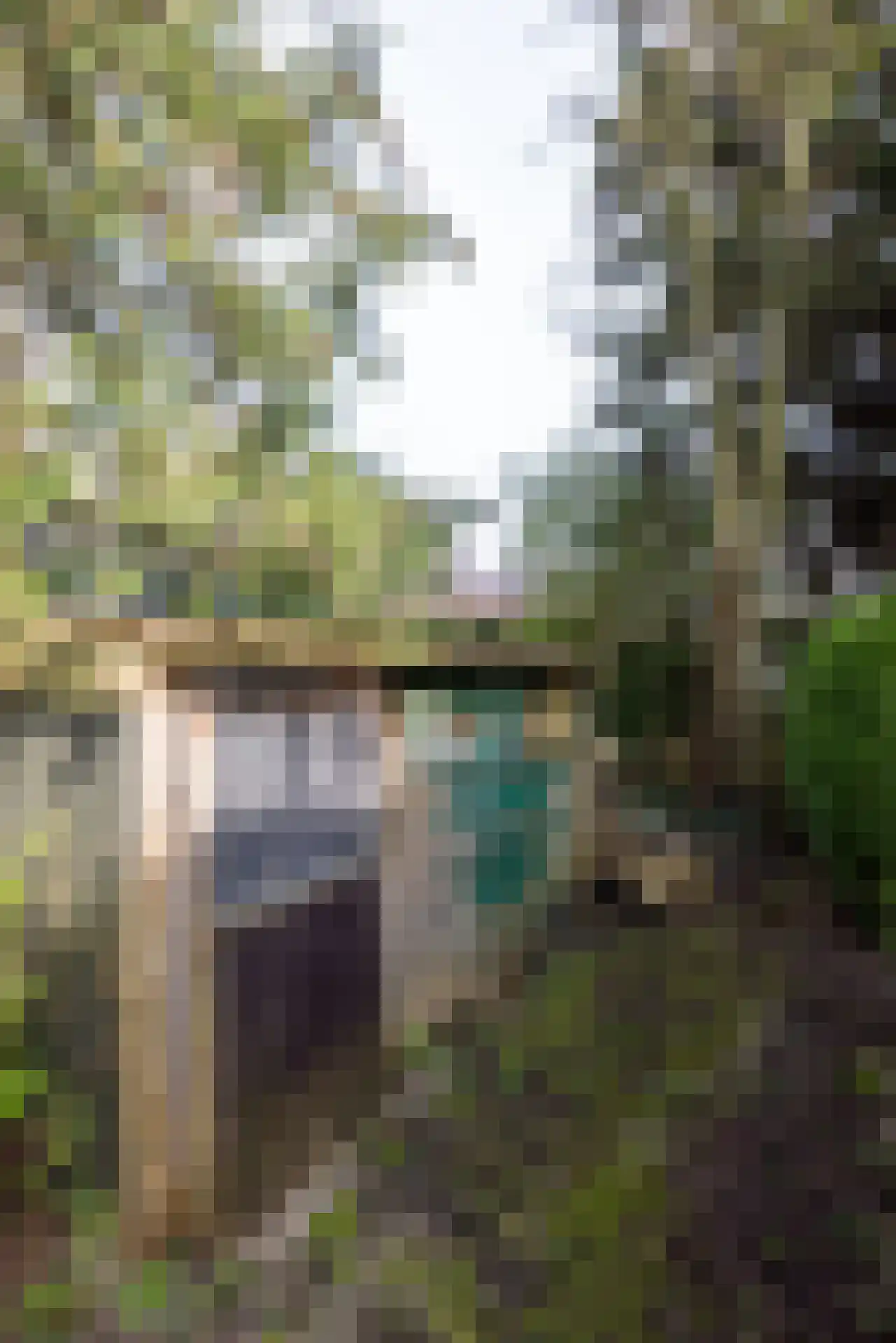 's-Gravenweg 524 Rotterdam thumbnail 8