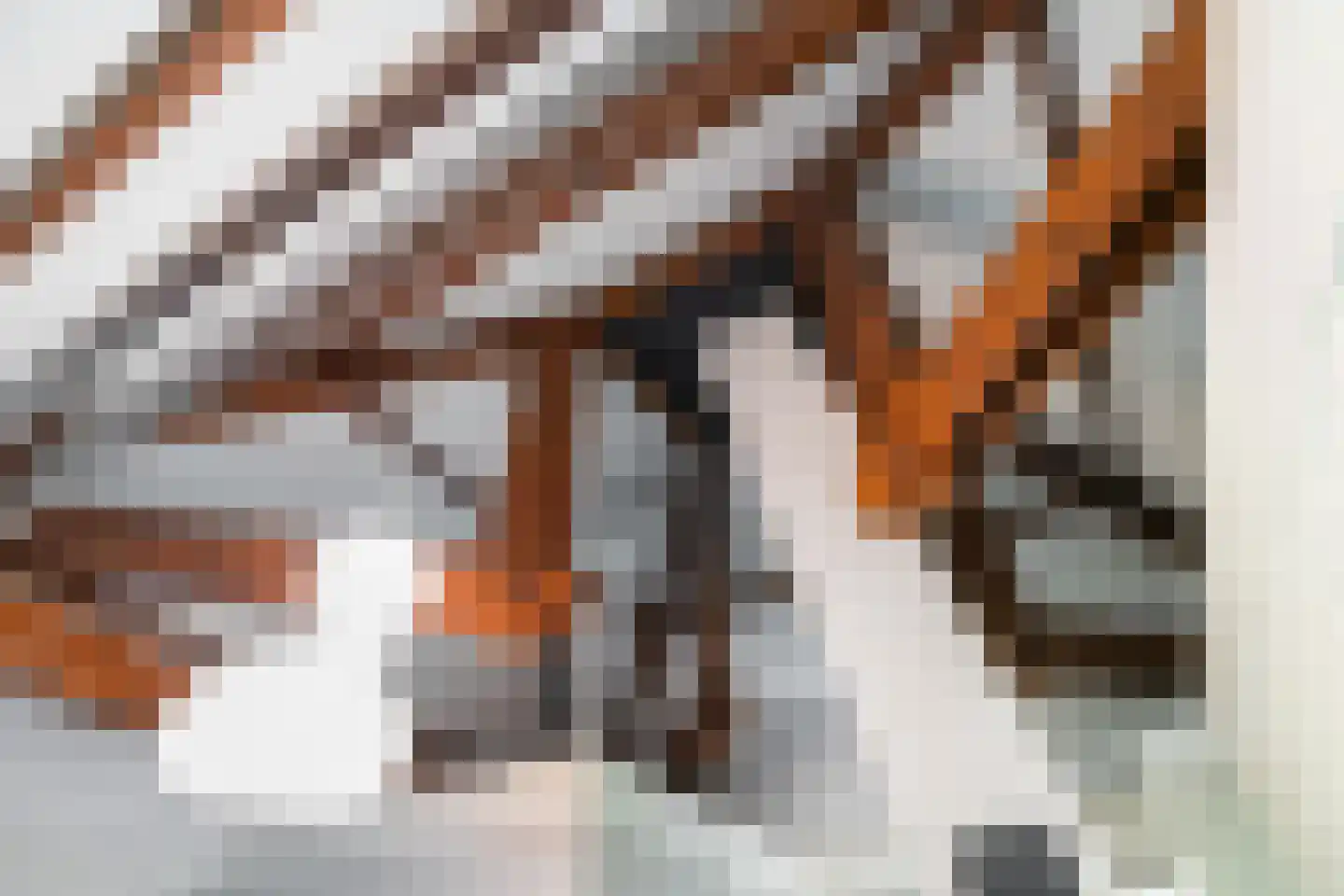 's-Gravenweg 544 Rotterdam thumbnail 36