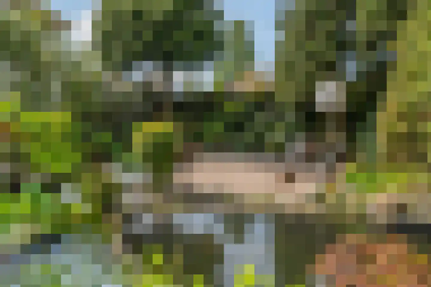 's-Gravenweg 544 Rotterdam thumbnail 41