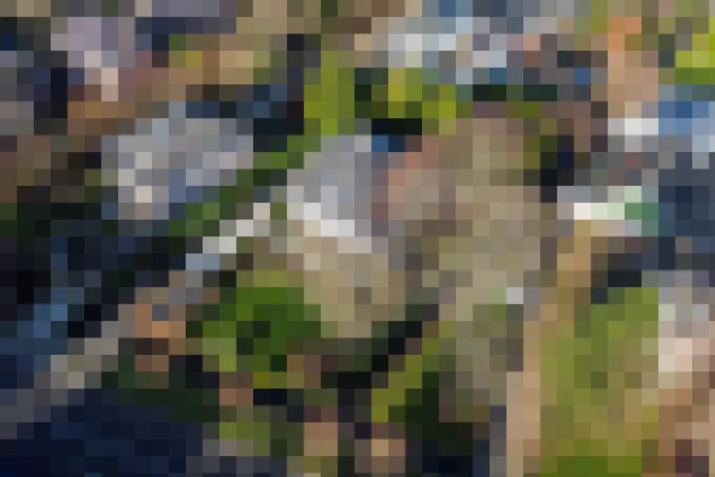 's-Gravenweg 544 Rotterdam thumbnail 47