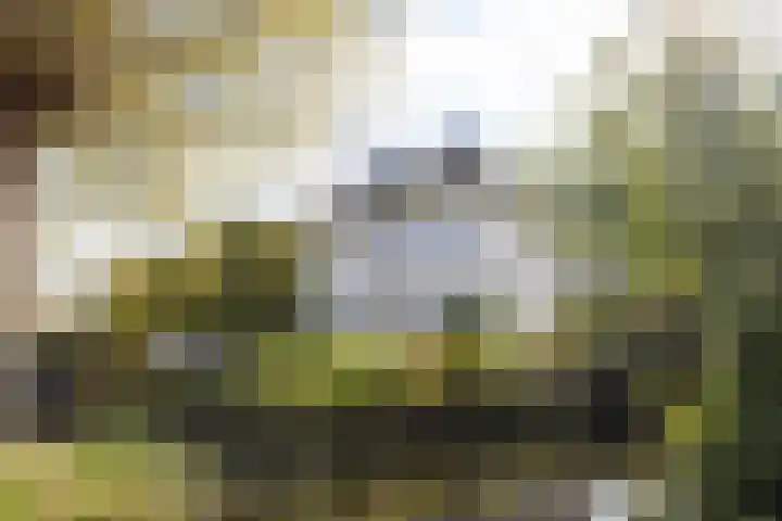 's-Gravenweg 551 in Rotterdam