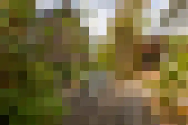 's-Gravenweg 551 Rotterdam thumbnail 35