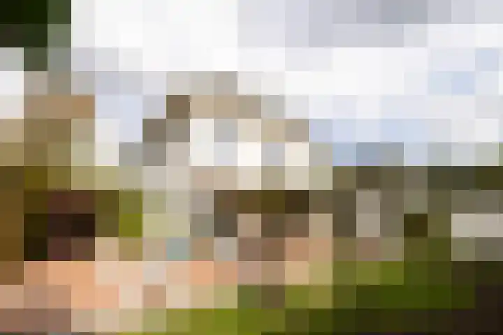 's-Gravenweg 551 Rotterdam thumbnail 4
